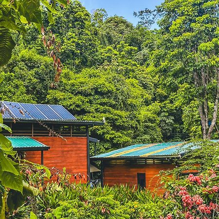 Апарт отель Selva Madre Eco-Sanctuary Кауита Экстерьер фото