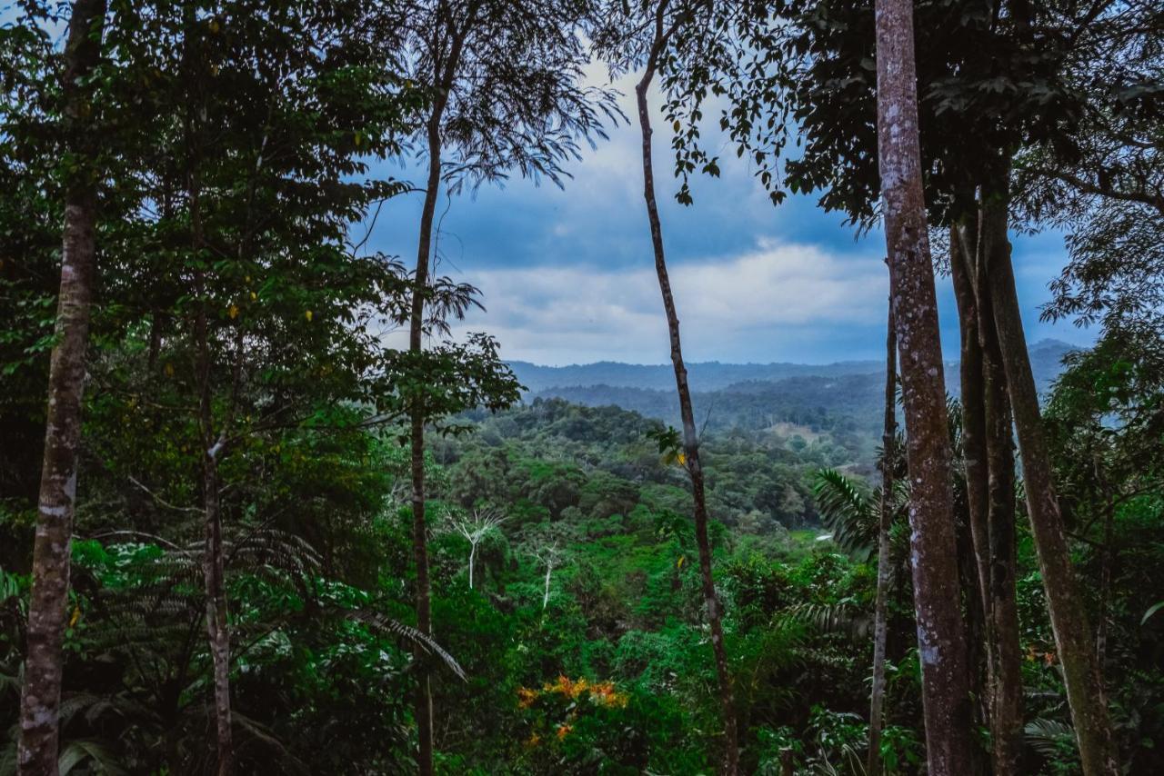 Апарт отель Selva Madre Eco-Sanctuary Кауита Экстерьер фото